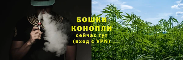 ГАЛЛЮЦИНОГЕННЫЕ ГРИБЫ Абдулино
