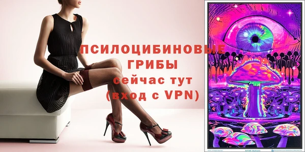 ГАЛЛЮЦИНОГЕННЫЕ ГРИБЫ Абдулино